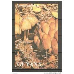 Hb de guyana 1991 setas