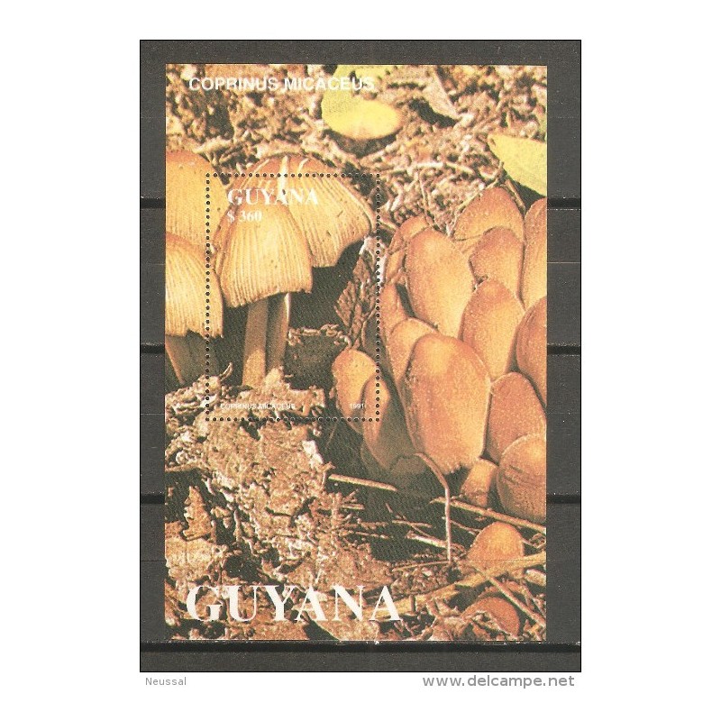 Hb de guyana 1991 setas Hb de guyana 1991 setas