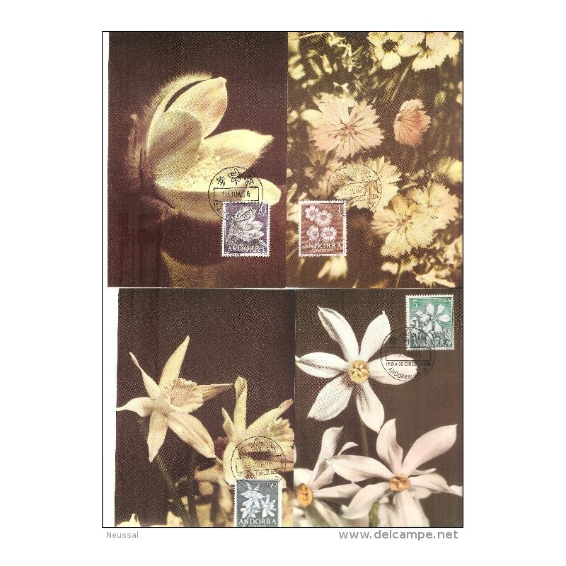 Serie de 4 tarjetas maximas de andorra flora 1966 Serie de 4 tarjetas maximas de andorra flora 1966