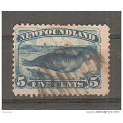 Sello n 38 newfoundland