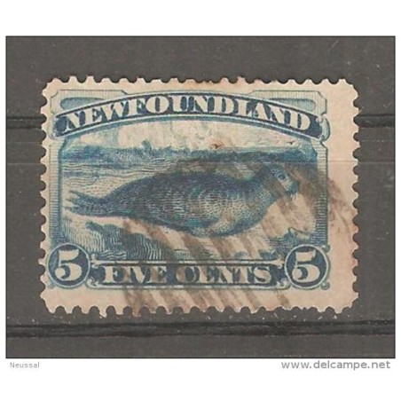 Sello n 38 newfoundland