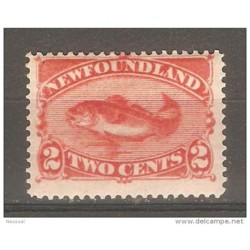 Sello n 41 newfoundland
