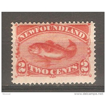 Sello n 41 newfoundland