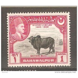 Sello n21 bahawalpur