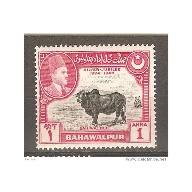 Sello n21 bahawalpur Sello n21 bahawalpur