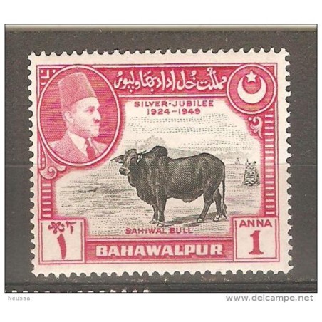 Sello n21 bahawalpur