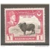Sello n21 bahawalpur