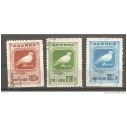 Serie n 8613 china