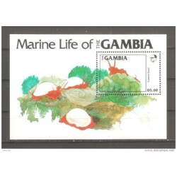 Hb12 gambia