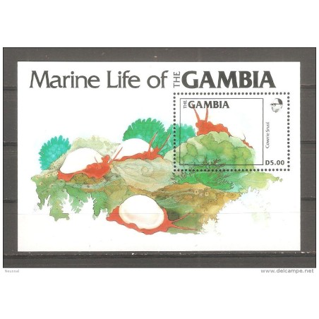 Hb12 gambia