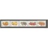 Serie frutas de chipre turco