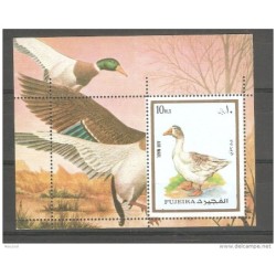 Hb de patos fujiera
