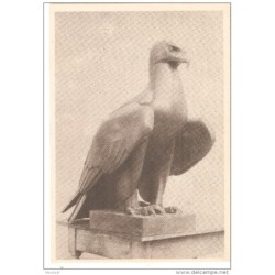Tarjeta postal aguila