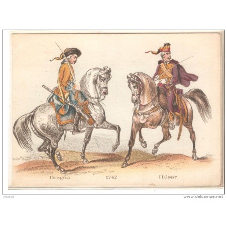 Tarjeta de caballos