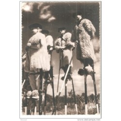 Tarjeta de visage des landes