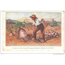 Tarjeta postal  potasa de alsacia