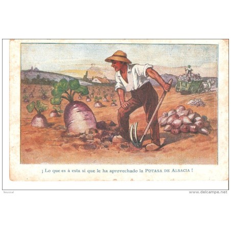 Tarjeta postal  potasa de alsacia