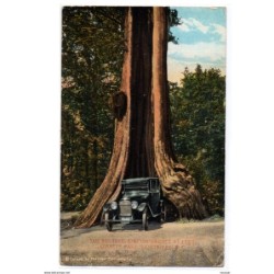 Tarjeta postal  stanley park vancouver