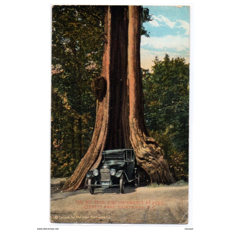 Tarjeta postal  stanley park vancouver