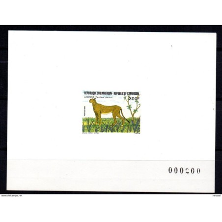 Pruebas serie n 7978 Camerun
