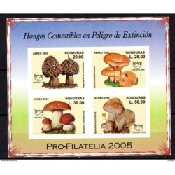 Hb82 sd  Honduras