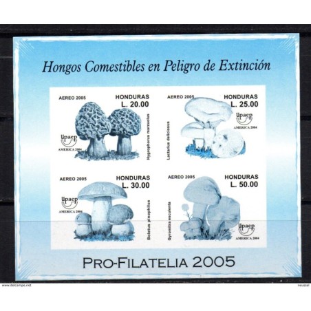 Hb82 sd  prueba color  Honduras