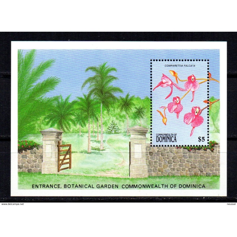 Hb153  dominica