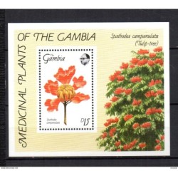 Hb73 gambia