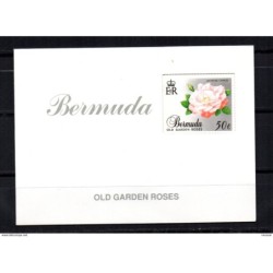Carnet C554 Bermuda