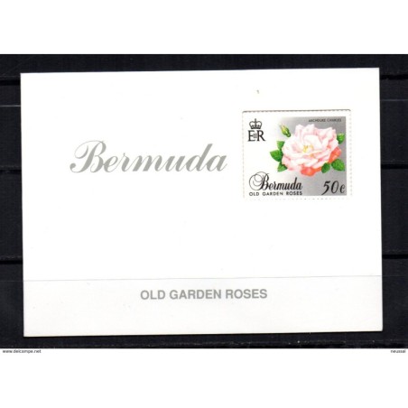 Carnet C554 Bermuda