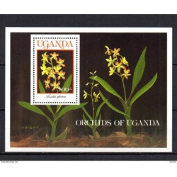Hb100 uganda
