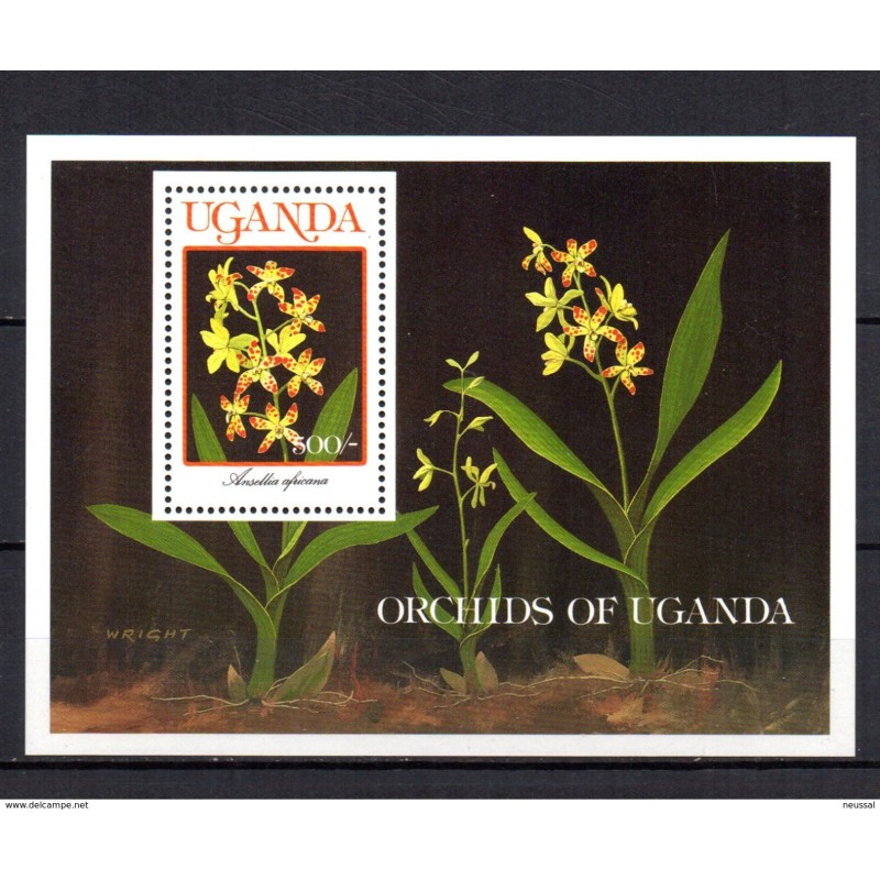 Hb100 uganda Hb100 uganda