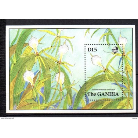 Hb78 gambia