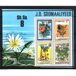 Hb6 somalia