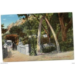 Tarjeta postal gibraltar  whale jaws arch bridge