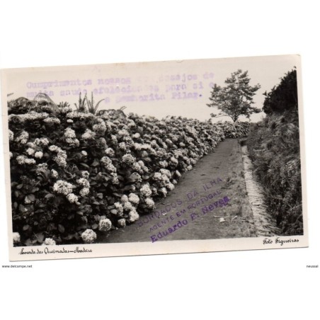 Tarjeta postal de madeira