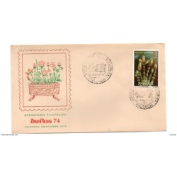 Carta con matasello commemorativo  iberflora de 1974