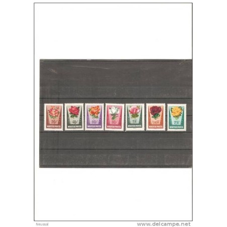 Serie de flores