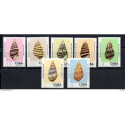 Serie n 170915 conchas