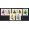 Serie n 170915 conchas