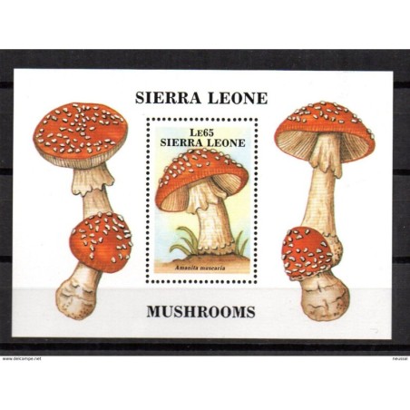 Hb75 sierra leona