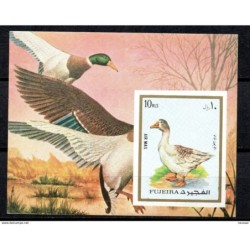 Hb de patos Fujiera