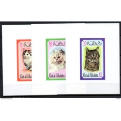 Serie de pruebas gatos ras al khaima