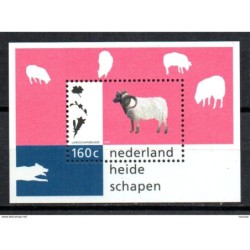 Hb51   Holanda