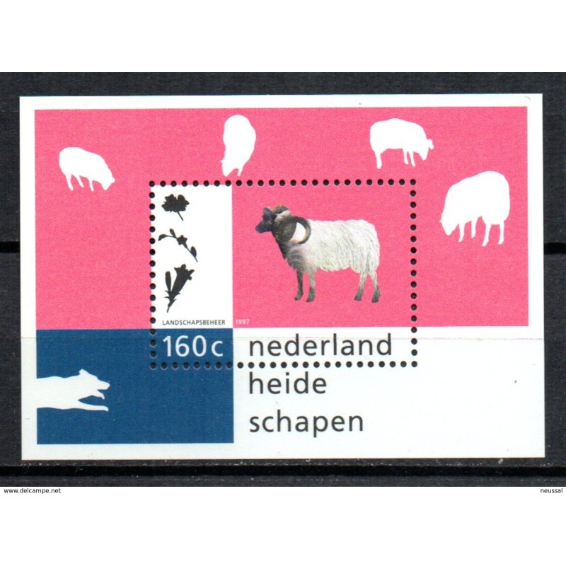 Hb51 Holanda Hb51 Holanda