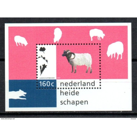 Hb51   Holanda