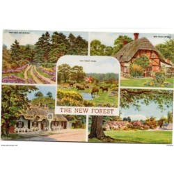 Tarjeta postal the new forest