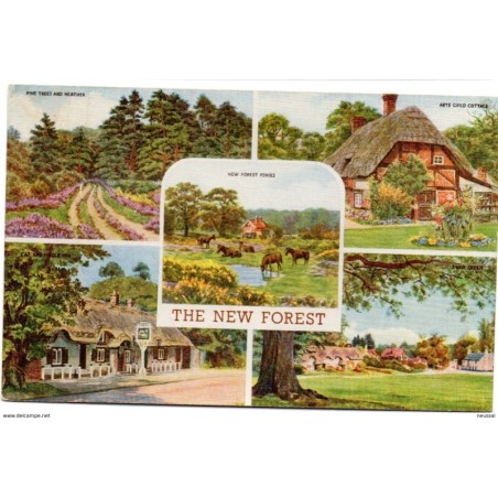 Tarjeta postal the new forest