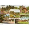 Tarjeta postal the new forest