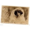 Tarjeta postal de lucette de berny circulada de 1904